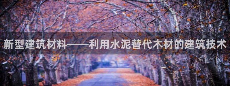 威九國(guó)際網(wǎng)站鏈接