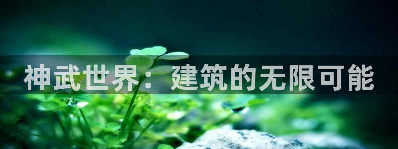 威九國際網(wǎng)站入口官網(wǎng)首頁登錄