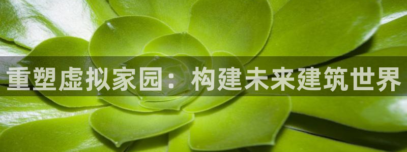 威九國際女主角